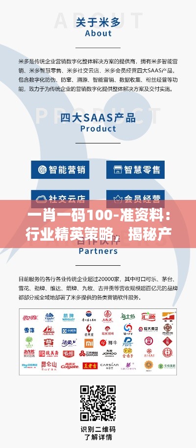 一肖一码100-准资料：行业精英策略，揭秘产品成功法则