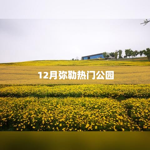 弥勒十二月热门公园游玩攻略
