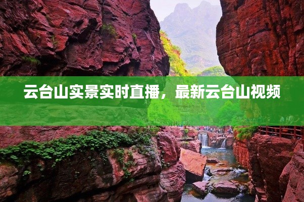 云台山实景实时直播，最新云台山视频 