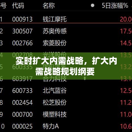 实时扩大内需战略，扩大内需战略规划纲要 