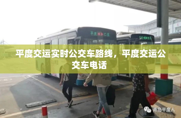 不拘小节 第3页