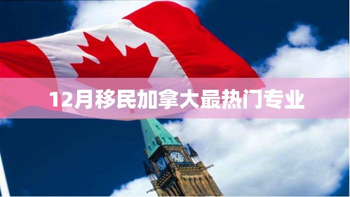 移民加拿大热门专业列表（12月版）
