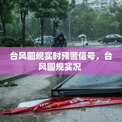 台风圆规实时预警信号，台风圆规实况 