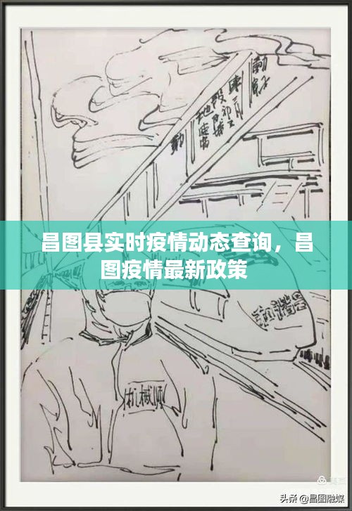 昌图县实时疫情动态查询，昌图疫情最新政策 
