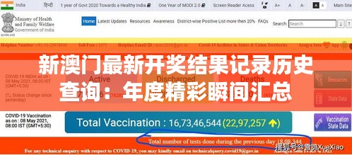 新澳门最新开奖结果记录历史查询：年度精彩瞬间汇总