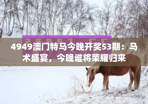 4949澳门特马今晚开奖53期：马术盛宴，今晚谁将荣耀归来