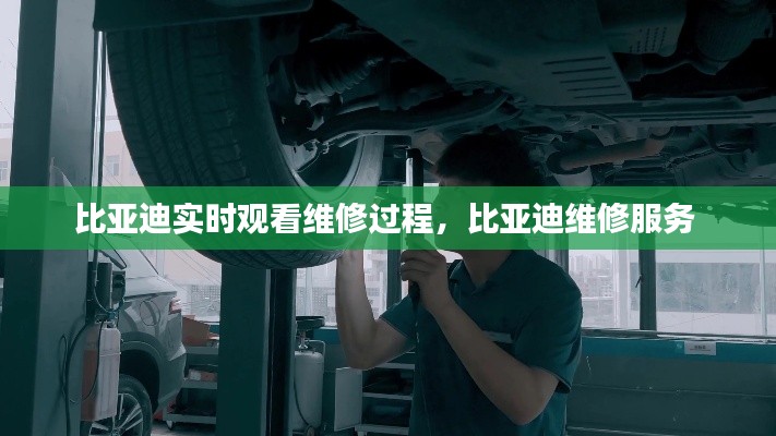 比亚迪实时观看维修过程，比亚迪维修服务 