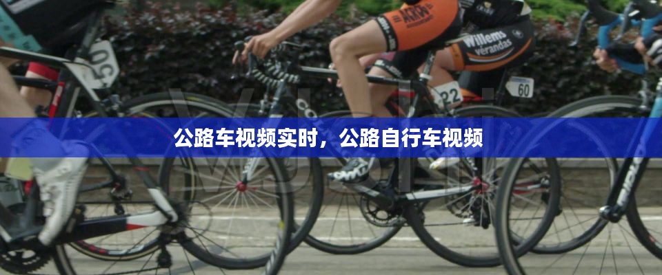公路车视频实时，公路自行车视频 