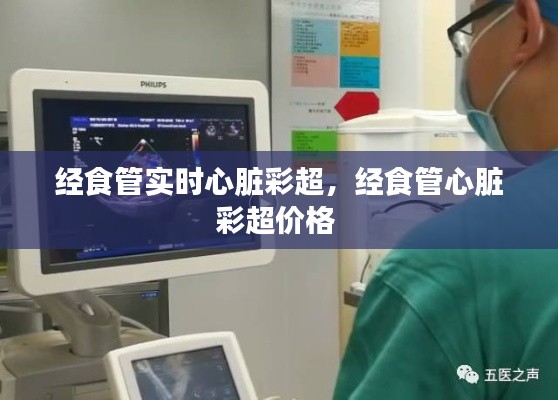 经食管实时心脏彩超，经食管心脏彩超价格 