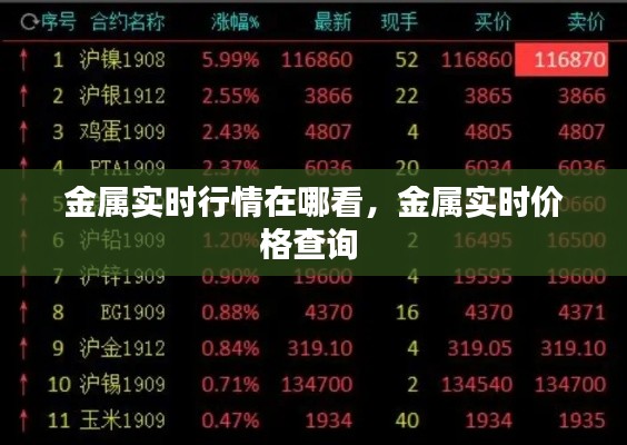金属实时行情在哪看，金属实时价格查询 
