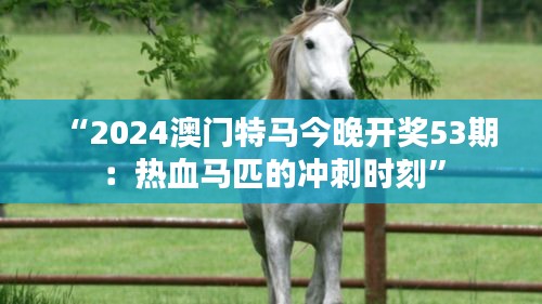 “2024澳门特马今晚开奖53期：热血马匹的冲刺时刻”