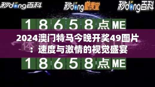 2024澳门特马今晚开奖49图片：速度与激情的视觉盛宴