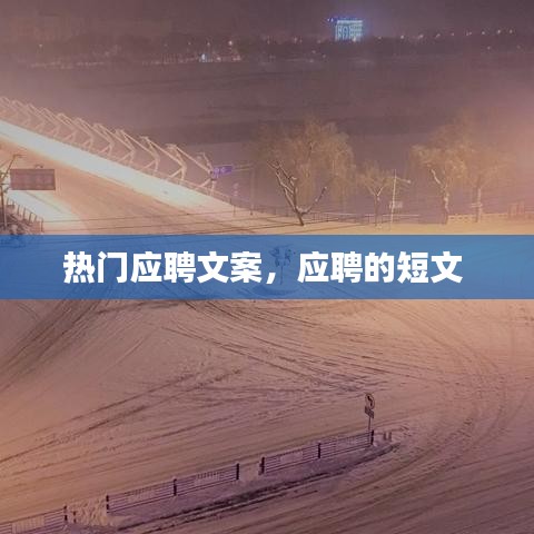 热门应聘文案，应聘的短文 