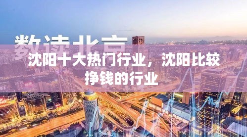 沈阳十大热门行业，沈阳比较挣钱的行业 