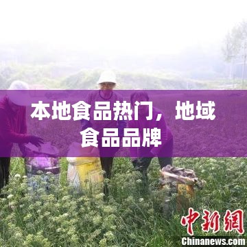 本地食品热门，地域食品品牌 
