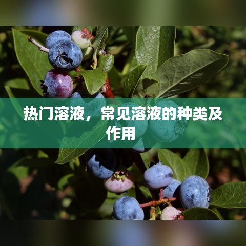 热门溶液，常见溶液的种类及作用 