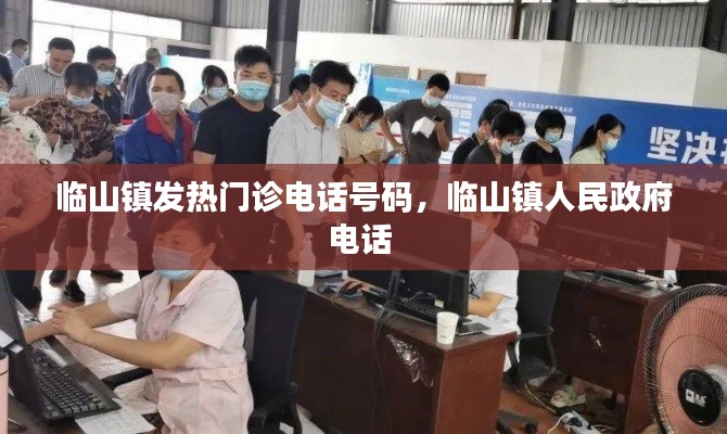 临山镇发热门诊电话号码，临山镇人民政府电话 