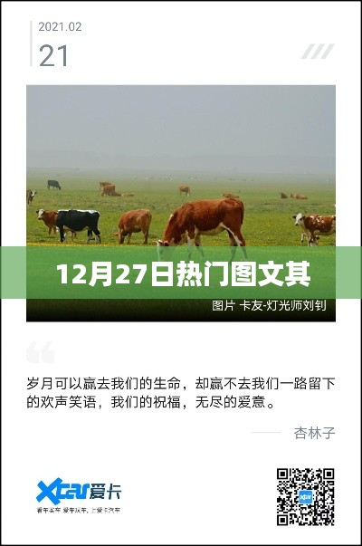 揭秘热点，最新图文资讯，12月27日热门一览