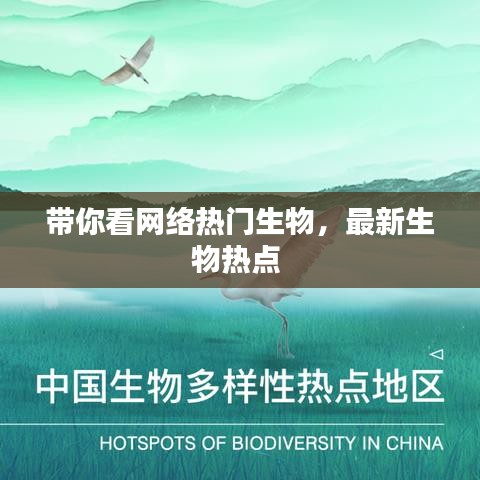 带你看网络热门生物，最新生物热点 