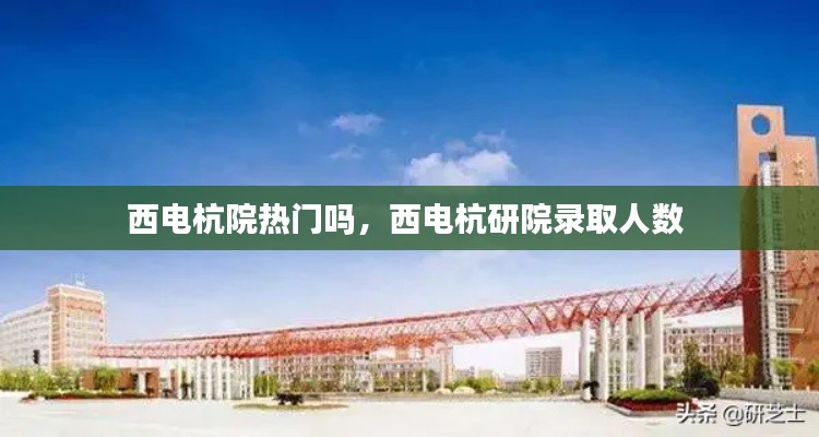 西电杭院热门吗，西电杭研院录取人数 