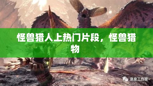 怪兽猎人上热门片段，怪兽猎物 