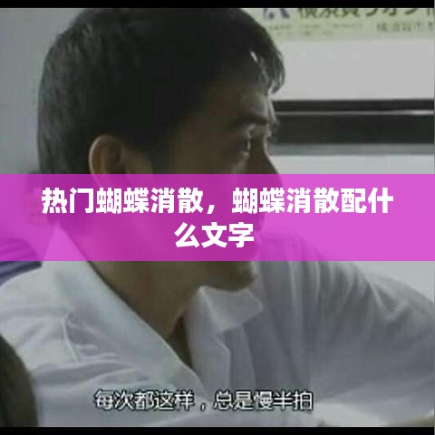 热门蝴蝶消散，蝴蝶消散配什么文字 