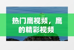 精益求精 第3页