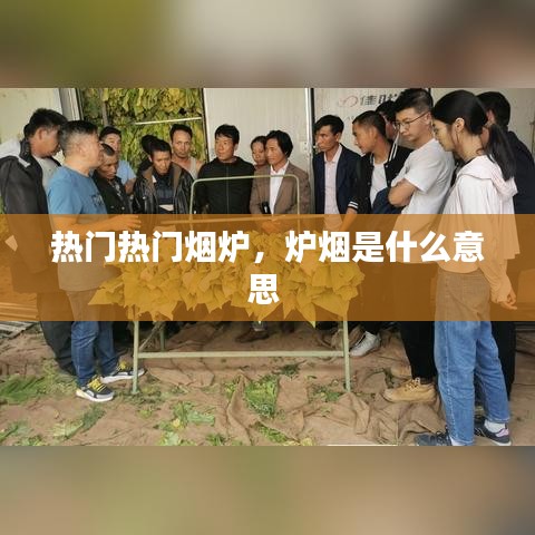 见仁见智 第2页