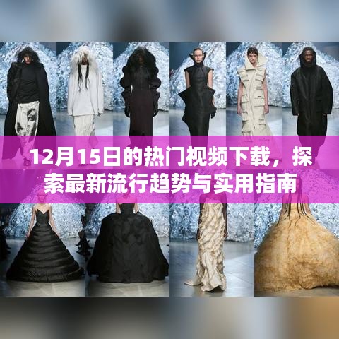 12月15日热门视频下载，趋势与实用指南一网打尽