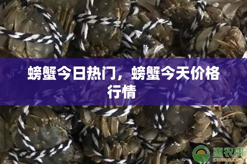 螃蟹今日热门，螃蟹今天价格行情 