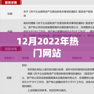 2022年12月热门网站盘点