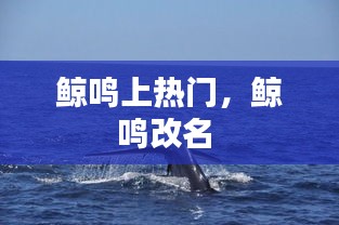 芳兰竟体 第3页