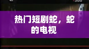 热门短剧蛇，蛇的电视 