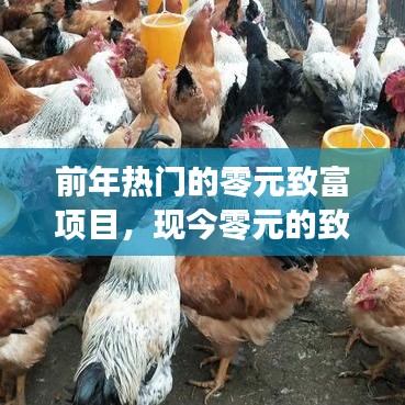 前年热门的零元致富项目，现今零元的致富生意 