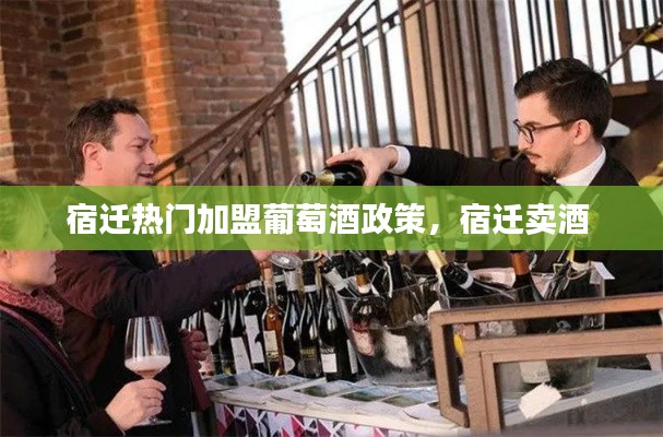 宿迁热门加盟葡萄酒政策，宿迁卖酒 