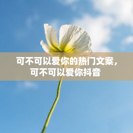 可不可以爱你的热门文案，可不可以爱你抖音 