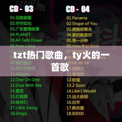 tzt热门歌曲，ty火的一首歌 