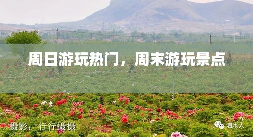 惊弦之鸟 第3页