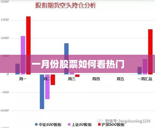 一月份热门股票分析与展望