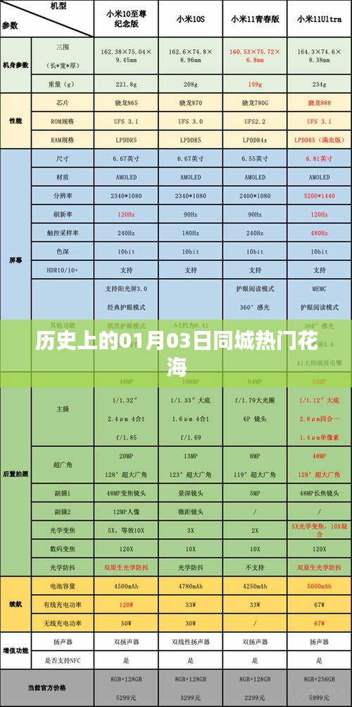 贵冠履轻头足 第3页