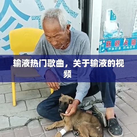 输液热门歌曲，关于输液的视频 
