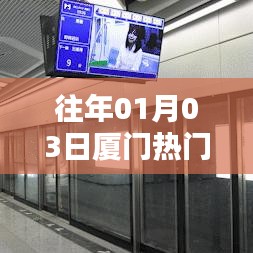 飞箭如蝗 第3页