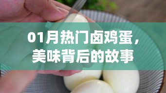 热门卤鸡蛋背后的美味故事