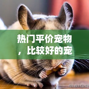 雍荣闲雅 第3页