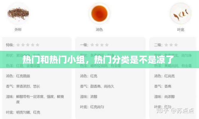 热门和热门小组，热门分类是不是凉了 
