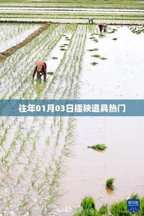 富贵利达 第3页