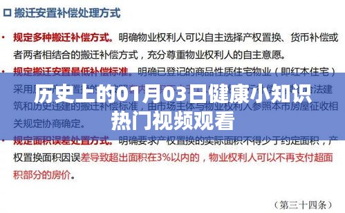 敷衍了事 第3页