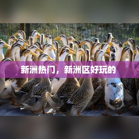 天罗地网 第3页