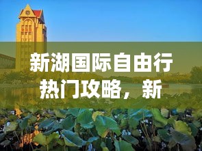 新湖国际自由行热门攻略，新湖国际三期房价 