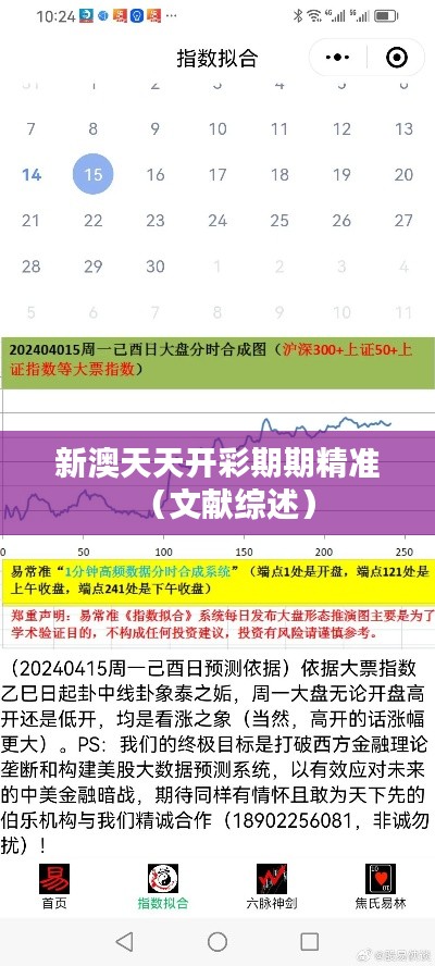 新澳天天开彩期期精准（文献综述）